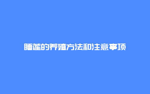 睡莲的养殖方法和注意事项