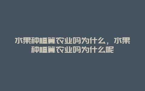 水果种植算农业吗为什么，水果种植算农业吗为什么呢