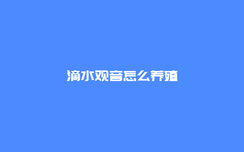 滴水观音怎么养殖