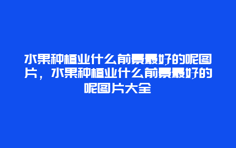 水果种植业什么前景最好的呢图片，水果种植业什么前景最好的呢图片大全