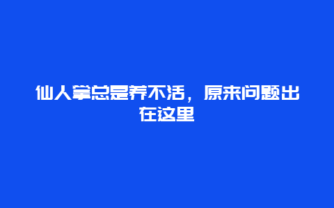 仙人掌总是养不活，原来问题出在这里