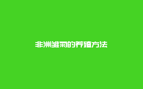 非洲雏菊的养殖方法