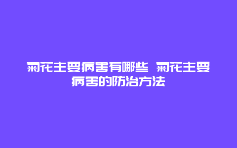 菊花主要病害有哪些 菊花主要病害的防治方法