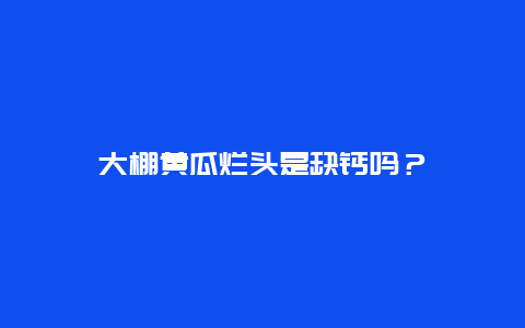 大棚黄瓜烂头是缺钙吗？