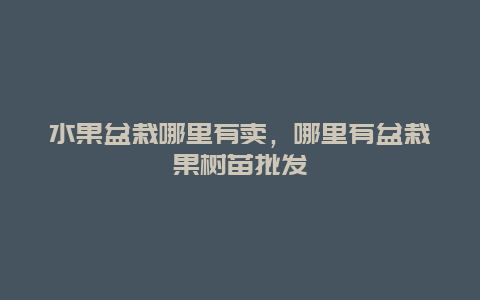 水果盆栽哪里有卖，哪里有盆栽果树苗批发