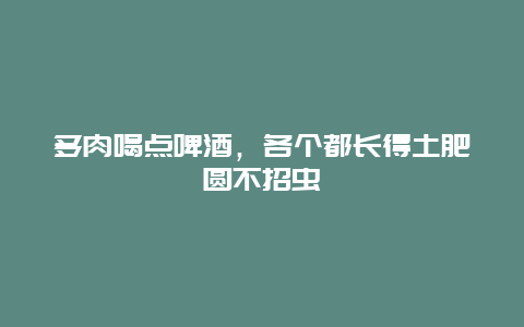 多肉喝点啤酒，各个都长得土肥圆不招虫