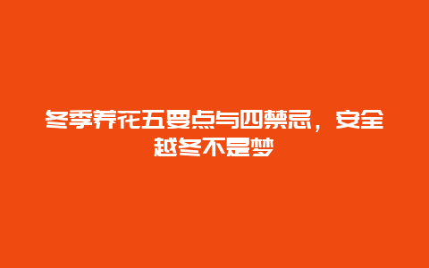 冬季养花五要点与四禁忌，安全越冬不是梦