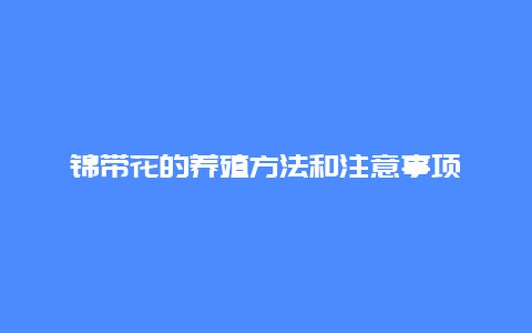 锦带花的养殖方法和注意事项