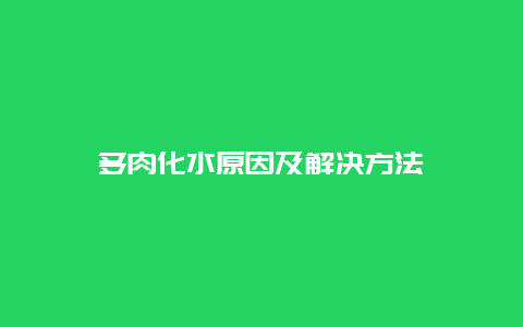 多肉化水原因及解决方法