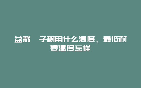 盆栽桔子树用什么温度，最低耐寒温度怎样