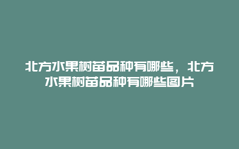 北方水果树苗品种有哪些，北方水果树苗品种有哪些图片