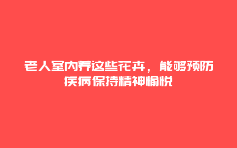 老人室内养这些花卉，能够预防疾病保持精神愉悦