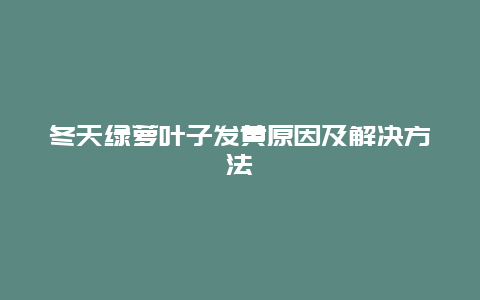 冬天绿萝叶子发黄原因及解决方法