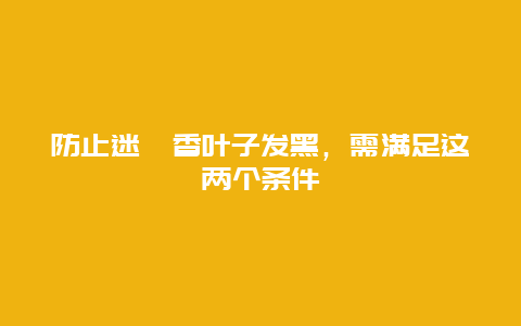 防止迷迭香叶子发黑，需满足这两个条件