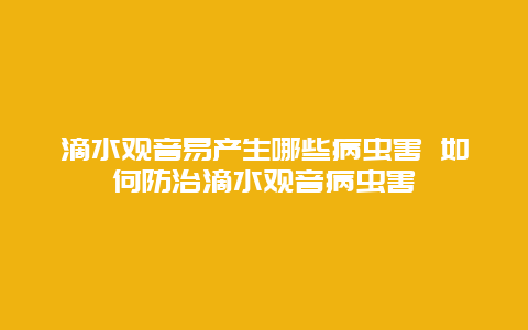 滴水观音易产生哪些病虫害 如何防治滴水观音病虫害