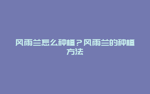 风雨兰怎么种植？风雨兰的种植方法