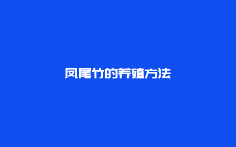 凤尾竹的养殖方法