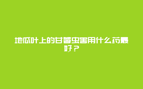 地瓜叶上的甘薯虫害用什么药最好？