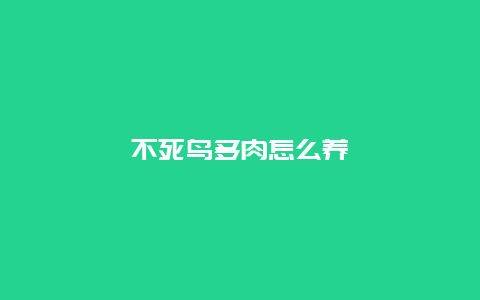 不死鸟多肉怎么养