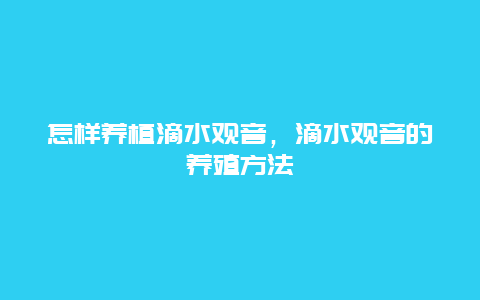 怎样养植滴水观音，滴水观音的养殖方法