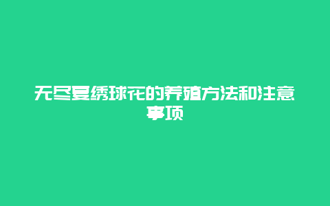 无尽夏绣球花的养殖方法和注意事项