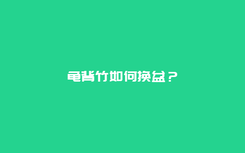 龟背竹如何换盆？