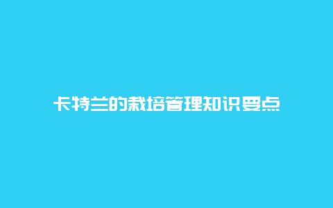 卡特兰的栽培管理知识要点