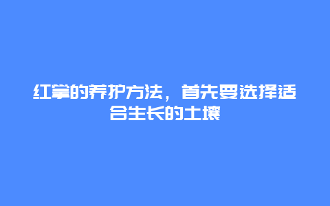 红掌的养护方法，首先要选择适合生长的土壤