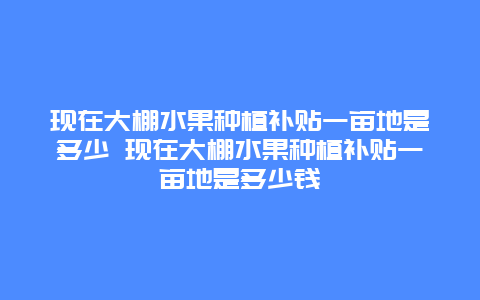 现在大棚水果种植补贴一亩地是多少 现在大棚水果种植补贴一亩地是多少钱