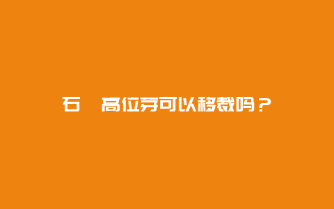 石斛高位芽可以移裁吗？