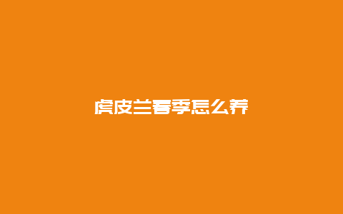 虎皮兰春季怎么养