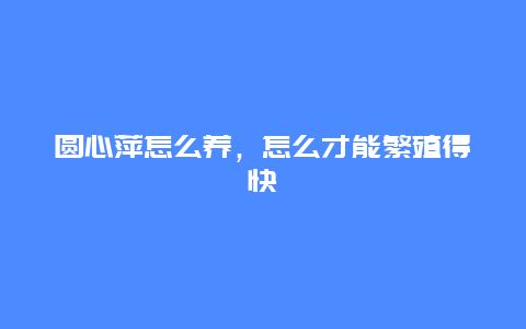 圆心萍怎么养，怎么才能繁殖得快