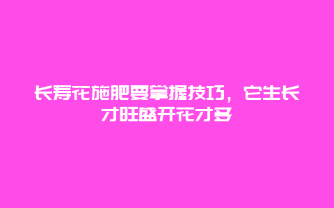 长寿花施肥要掌握技巧，它生长才旺盛开花才多