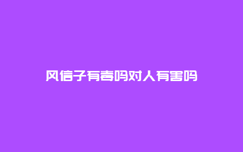 风信子有毒吗对人有害吗