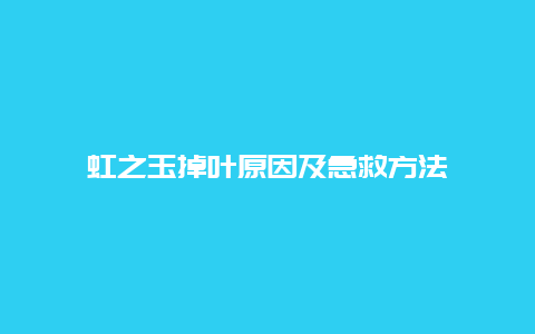 虹之玉掉叶原因及急救方法