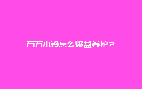 百万小铃怎么爆盆养护？