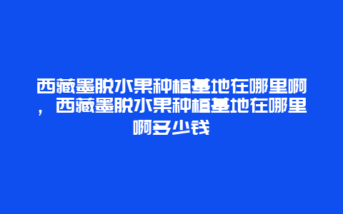 西藏墨脱水果种植基地在哪里啊，西藏墨脱水果种植基地在哪里啊多少钱