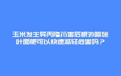 玉米发生异丙隆药害后根外喷施叶面肥可以快速减轻危害吗？