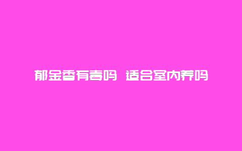 郁金香有毒吗 适合室内养吗