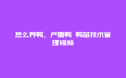 怎么养鸭，产蛋鸭 鸭苗技术管理视频