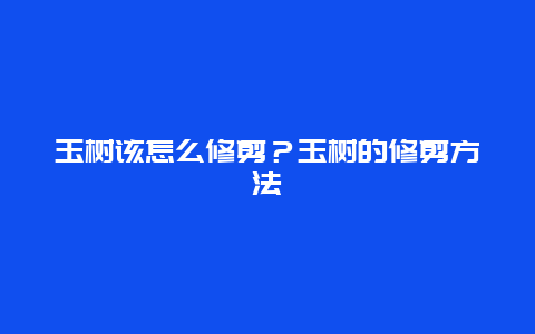 玉树该怎么修剪？玉树的修剪方法