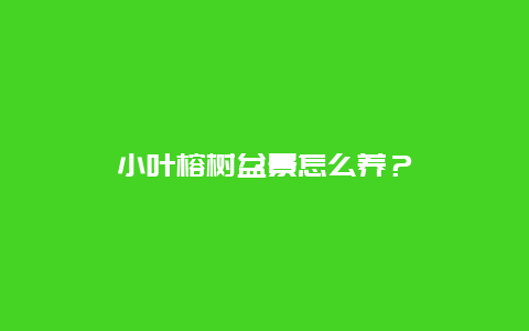 小叶榕树盆景怎么养？