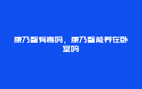 康乃馨有毒吗，康乃馨能养在卧室吗