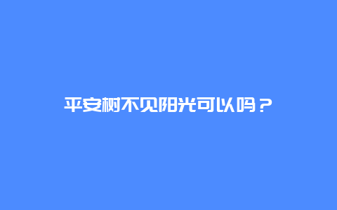 平安树不见阳光可以吗？