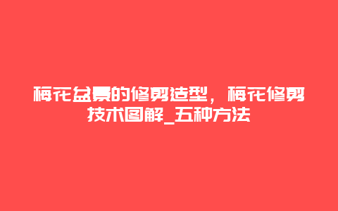 梅花盆景的修剪造型，梅花修剪技术图解_五种方法