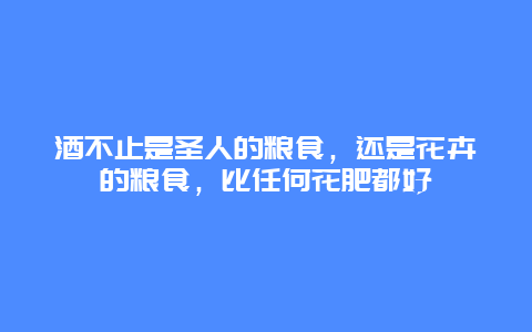 酒不止是圣人的粮食，还是花卉的粮食，比任何花肥都好