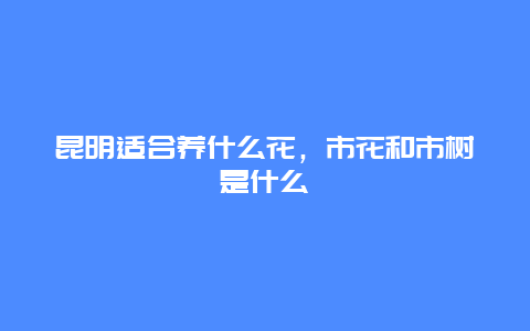 昆明适合养什么花，市花和市树是什么