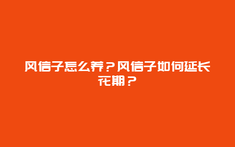 风信子怎么养？风信子如何延长花期？