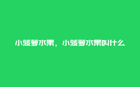 小菠萝水果，小菠萝水果叫什么