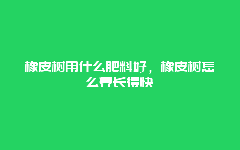 橡皮树用什么肥料好，橡皮树怎么养长得快